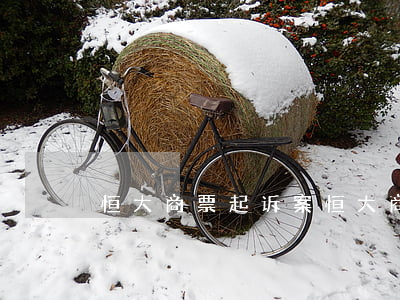 恒大商票起诉案（恒大商票逾期怎么起诉）