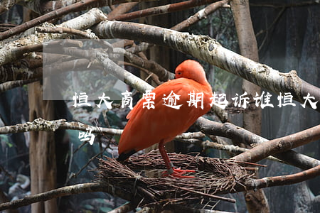 恒大商票逾期起诉谁(恒大商票不付可以起诉吗)