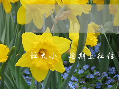 恒大小貸逾期上征信嗎(恒大小貸逾期上征信嗎)