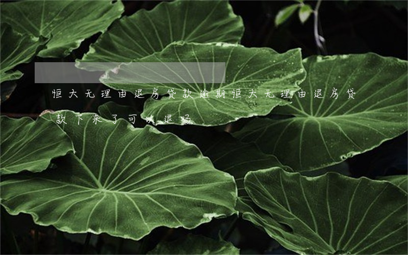 恒大无理由退房贷款逾期(恒大无理由退房 贷款下来了可以退吗)