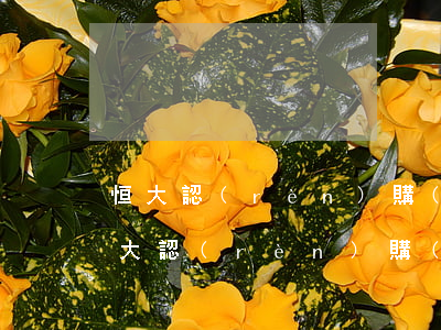 恒大認(rèn)購(gòu)金逾期-恒大認(rèn)購(gòu)金逾期怎么處理