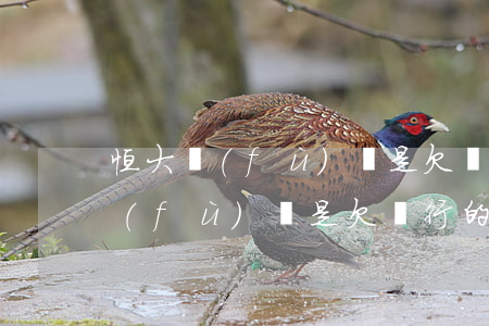 恒大負(fù)債是欠銀行的嗎知乎（恒大負(fù)債是欠銀行的嗎）