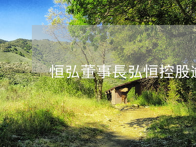 恒弘董事長（弘恒控股逾期）