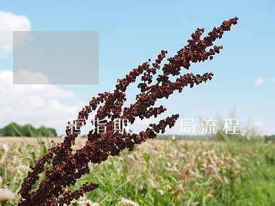 恒指期貨騙局流程