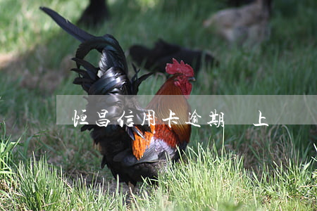 恒昌信用卡逾期會上門嗎(信用卡逾期法律咨詢)