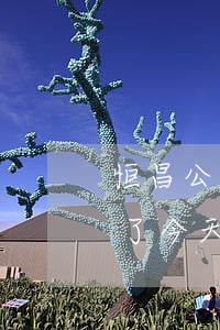 恒昌公司的逾期會被告上法庭么-恒昌逾期了,今天發(fā)信息要起訴是真是假