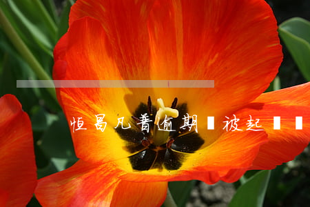 恒昌凡普逾期會被起訴嗎