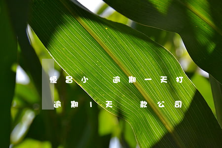 恒昌小貸逾期一天打電話會怎樣-恒昌貸款逾期1天,貸款公司給聯(lián)系人打電話,對嗎?