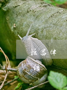 恒昌律師函是真的嗎(恒昌發(fā)的律師信)