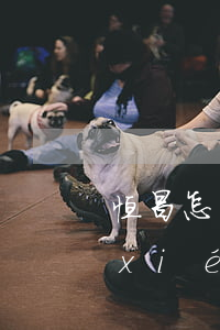恒昌怎么協(xié)商只還本金 恒昌協(xié)商還款終于成功了會不會還有套路貸