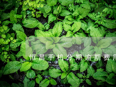 恒昌手机分期逾期费用(恒昌手机分期未还)