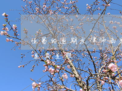 恒昌的逾期发律师函是真的吗(恒昌发律师函是真是假)