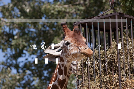 恒昌網(wǎng)貸不還會遭起訴嗎(恒昌貸舉報(bào))