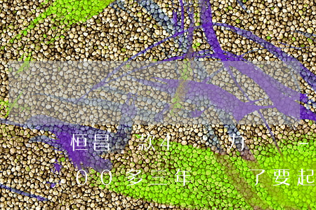 恒昌貸款4萬無力償還-欠恒昌貸款40000多三年沒還了要起訴我,我該怎么辦