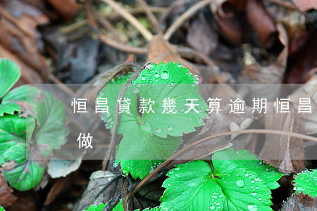 恒昌貸款幾天算逾期(恒昌逾期第一天要怎樣做)