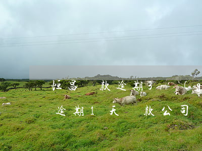 恒昌貸款逾期3個(gè)月了啊(恒昌貸款逾期1天,貸款公司給聯(lián)系人打電話(huà),對(duì)嗎?)
