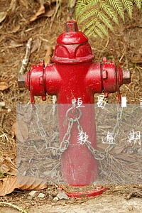 恒昌貸款逾期了很久,最近打電話來-恒昌貸款逾期了很久,最近打電話來催收