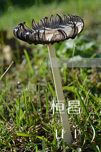 恒昌貸款逾期多久起訴(恒昌貸款法院會(huì)受理嗎)