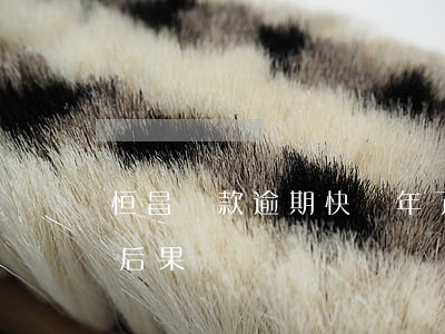 恒昌貸款逾期快兩年了(恒昌貸款不還有什么后果)