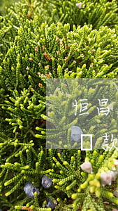 恒昌貸逾期多少錢會(huì)被起訴 恒昌貸款公司起訴法院會(huì)受理嗎