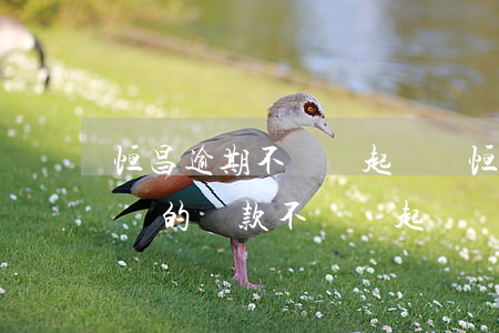 恒昌逾期不還會起訴嗎(恒昌會起訴嗎如果很長的貸款不還會起訴嗎)