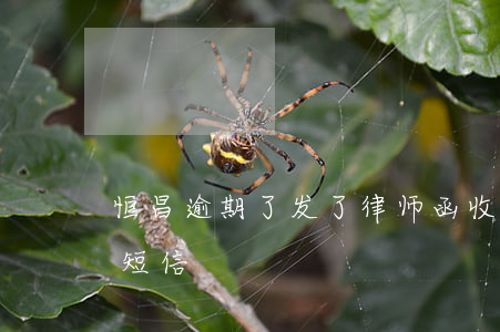 恒昌逾期了发了律师函(收到恒昌律师发来的短信)