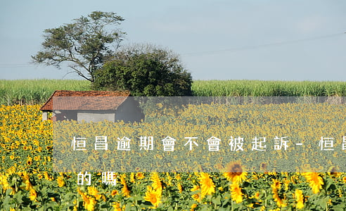 恒昌逾期會不會被起訴-恒昌要起訴我是真的嗎