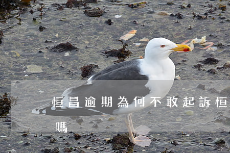 恒昌逾期為何不敢起訴(恒昌要起訴我是真的嗎)
