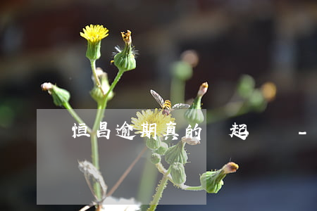 恒昌逾期真的會起訴嗎-恒昌會不會起訴