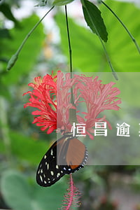 恒昌逾期起訴 恒昌法院案件