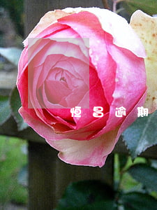 恒昌逾期起訴流程