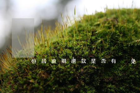 恒昌逾期還款是否有減免(有誰在恒昌減免過)