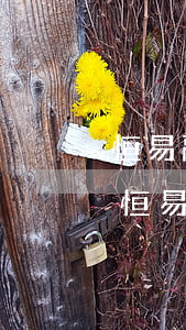 恒易融逾期后app不能結(jié)清了(恒易貸無法提前結(jié)清)