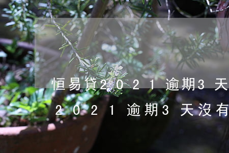 恒易貸2021逾期3天沒有催收-恒易貸2021逾期3天沒有催收怎么辦