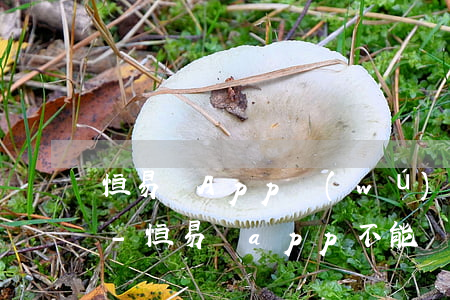 恒易貸App無(wú)法在App里還款-恒易貸app不能還款