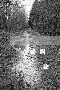 恒易貸不逾期正常還款(恒易貸還沒到期就催還款)