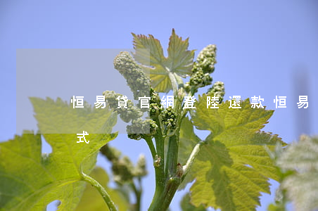 恒易貸官網登陸還款(恒易貸官網登陸還款方式)