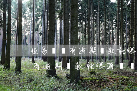 恒易貸沒有逾期還款就爆通訊錄-恒易貸沒有逾期還款就爆通訊錄了