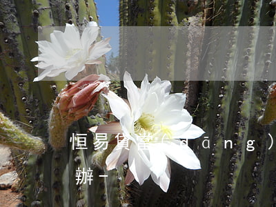 恒易貸當(dāng)天還款還逾期了怎么辦-