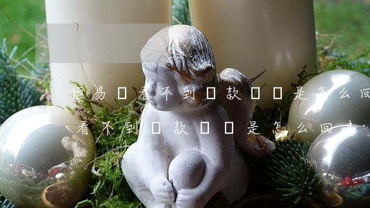 恒易貸看不到還款賬單是怎么回事-恒易貸看不到還款賬單是怎么回事兒