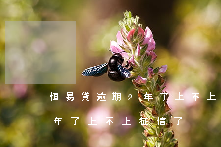 恒易貸逾期2年了上不上征信(恒易貸逾期2年了上不上征信了)