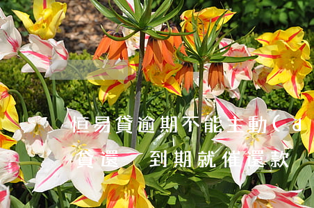 恒易貸逾期不能主動(dòng)還款(恒易貸還沒到期就催還款)