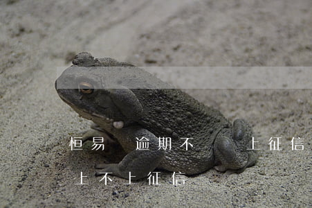 恒易貸逾期不還會上征信嗎（恒易貸借款逾期上不上征信）