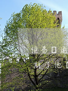 恒易貸逾期兩年多了說要上門核查(恒易貸逾期了他說要到我家里去)