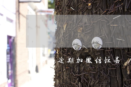 恒易貸逾期加微信(恒易貸逾期了)