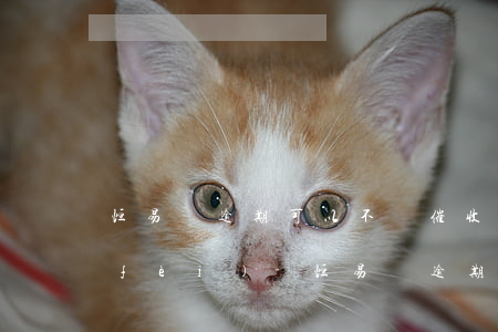恒易貸逾期可以不還催收服務(wù)費(fèi)-恒易貸逾期一天突然要我100的催收費(fèi)