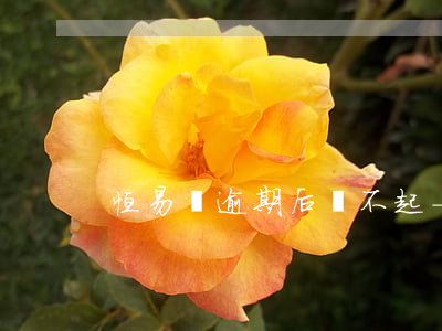 恒易貸逾期后還不起-恒易貸 逾期