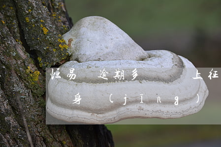 恒易貸逾期多長時間上征信(恒易貸逾期一年親身經(jīng)歷)