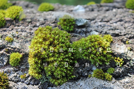恒易貸逾期寄了律師函會(huì)怎么樣-恒易貸逾期了三個(gè)月s說(shuō)是律師函寄到我公司了