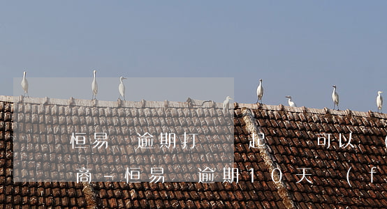 恒易貸逾期打電話起訴說可以協(xié)商-恒易貸逾期10天發(fā)信息說要起訴我